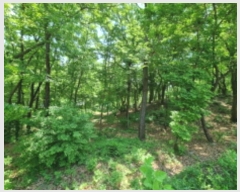  2024Ÿ64590  ν  õ 10-4      (Ӿ)