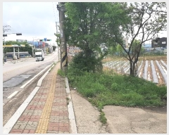  2024Ÿ��66114  ����