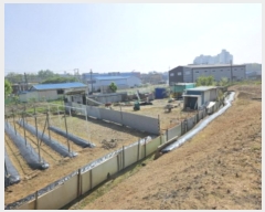  2024Ÿ��66114  ����