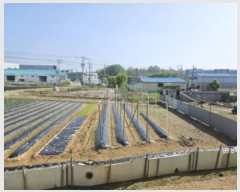  2024Ÿ��66114  ����