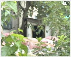  2024Ÿ80097   Ǽ е 45-117      ,â