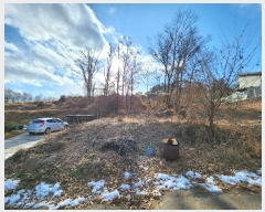  2024Ÿ103693  ȭ ۻ  324-25      (Ӿ)