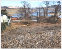  2024Ÿ103693  ȭ ۻ  324-25      (Ӿ)