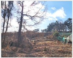  2024Ÿ103693  ȭ ۻ  324-25      (Ӿ)