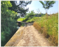  2024Ÿ5379  ν óα  ϸ 388-3     ð