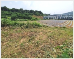  2024Ÿ��75156  ���������