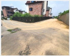  2024Ÿ��75156  ���������