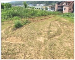  2024Ÿ��75156  ���������