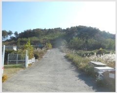  2024Ÿ��93826 ��� ȭ���� ���Ÿ� ���� 354-15      ����(�Ӿ�)���