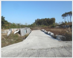  2024Ÿ��93826 ��� ȭ���� ���Ÿ� ���� 354-15      ����(�Ӿ�)���