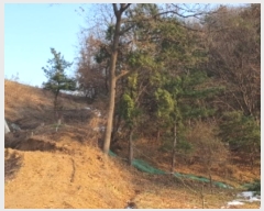  2024Ÿ��94546 ��� ȭ���� ������ ���ϸ� ��18      ����(�Ӿ�)���