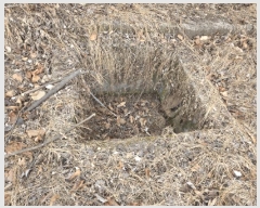  2024Ÿ��95679 ��� ȭ���� ������ ���۸� 30-24      ����(�Ӿ�)���