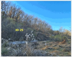  2024Ÿ��95679 ��� ȭ���� ������ ���۸� 30-24      ����(�Ӿ�)���