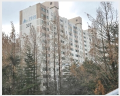  2024Ÿ101550   Ǽ ߷ 31, 307 131305ȣ (Ǽ,žȾƮ)   Ʈ