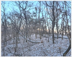  2024Ÿ��102010 ��� ȭ���� ��ȸ� ��ȸ� ��205-1      ����(�Ӿ�)���