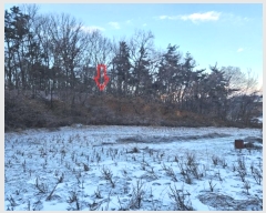  2024Ÿ��102010 ��� ȭ���� ��ȸ� ��ȸ� ��205-1      ����(�Ӿ�)���