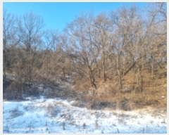  2024Ÿ��102010 ��� ȭ���� ��ȸ� ��ȸ� ��205-1      ����(�Ӿ�)���