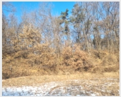  2024Ÿ��102010 ��� ȭ���� ��ȸ� ��ȸ� ��205-1      ����(�Ӿ�)���