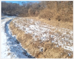  2024Ÿ��102010 ��� ȭ���� ��ȸ� ��ȸ� ��205-1      ����(�Ӿ�)���