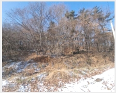  2024Ÿ��102010 ��� ȭ���� ��ȸ� ��ȸ� ��205-1      ����(�Ӿ�)���