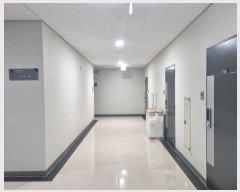  2024Ÿ��11848  ���ǽ��ڰ��