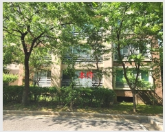  2024Ÿ67537  ν ﱸ 𳲷29 56, 106 1101ȣ (𳲵,αȿ)   Ʈ