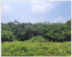  2024Ÿ74030  ȭ ź  97-3      (Ӿ)