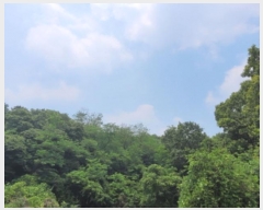  2024Ÿ74030  ȭ ź  97-3      (Ӿ)