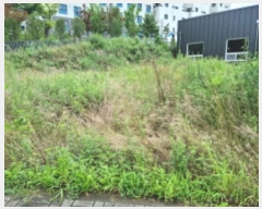  2024Ÿ��79349  �������