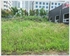  2024Ÿ��79349  �������