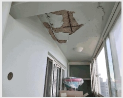  2024Ÿ81113   ȱ 1060 5, 2 121201ȣ (׵,ǼǾƮ)   Ʈ