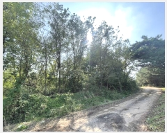  2024Ÿ��92779 ��� ȭ���� ������ �ΰ 110-13      ����(�Ӿ�)���