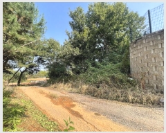  2024Ÿ��92779 ��� ȭ���� ������ �ΰ 110-13      ����(�Ӿ�)���