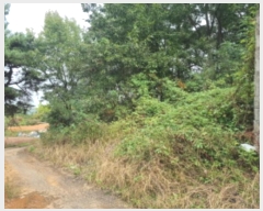  2024Ÿ��92779 ��� ȭ���� ������ �ΰ 110-13      ����(�Ӿ�)���