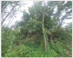  2024Ÿ��92779 ��� ȭ���� ������ �ΰ 110-13      ����(�Ӿ�)���