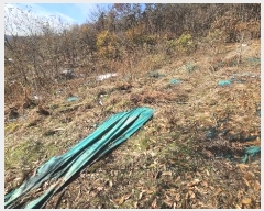  2024Ÿ��98142 ��� ȭ���� �ż۸� �߸� 311      ����(��1)���