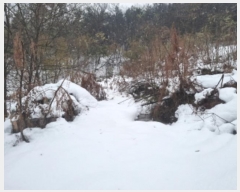  2024Ÿ��98142 ��� ȭ���� �ż۸� �߸� 311      ����(��1)���