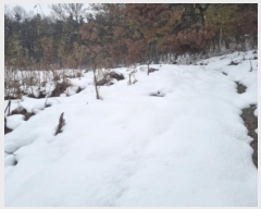  2024Ÿ��98142 ��� ȭ���� �ż۸� �߸� 311      ����(��1)���