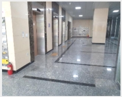  2024Ÿ10074  ȭ ź 706, 7717ȣ (õ,źƼ븮21)     Ʈ