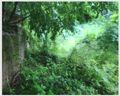  2024Ÿ74993  ν ﱸ ߵ 665-12      ()