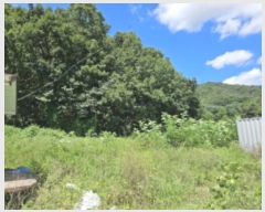  2024Ÿ81700  ν óα ϸ ڰ 412-2     ð