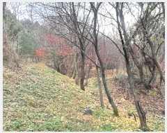  2024Ÿ97095  ν óα ϸ ڰ 621-10     (Ӿ)