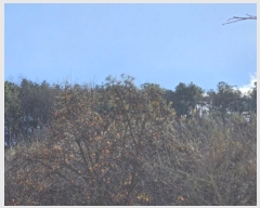  2024Ÿ97095  ν óα ϸ ڰ 621-10     (Ӿ)