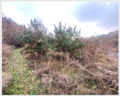  2024Ÿ97095  ν óα ϸ ڰ 621-10     (Ӿ)