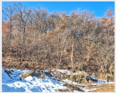  2024Ÿ��99718  �Ӿ߰��