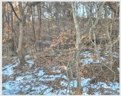  2024Ÿ��99718  �Ӿ߰��