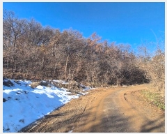  2024Ÿ��99718  �Ӿ߰��