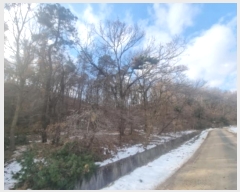  2024Ÿ��99718  �Ӿ߰��