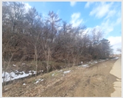  2024Ÿ��99718  �Ӿ߰��