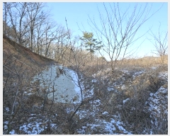  2024Ÿ��51846 ��� ȭ���� ���Ÿ� ��ȭ�� 100-8      ����(�Ӿ�)���